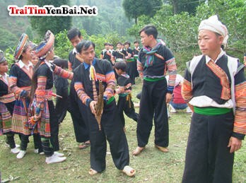 dt mong.jpg