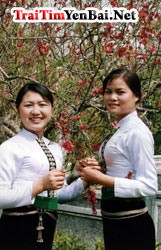dantocthai.jpg